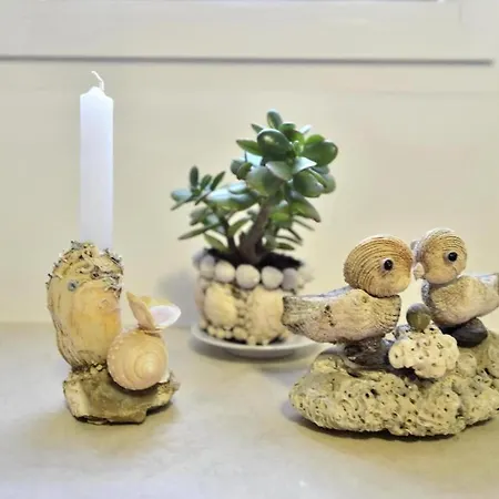 Apartamento Marigold Stone House Split